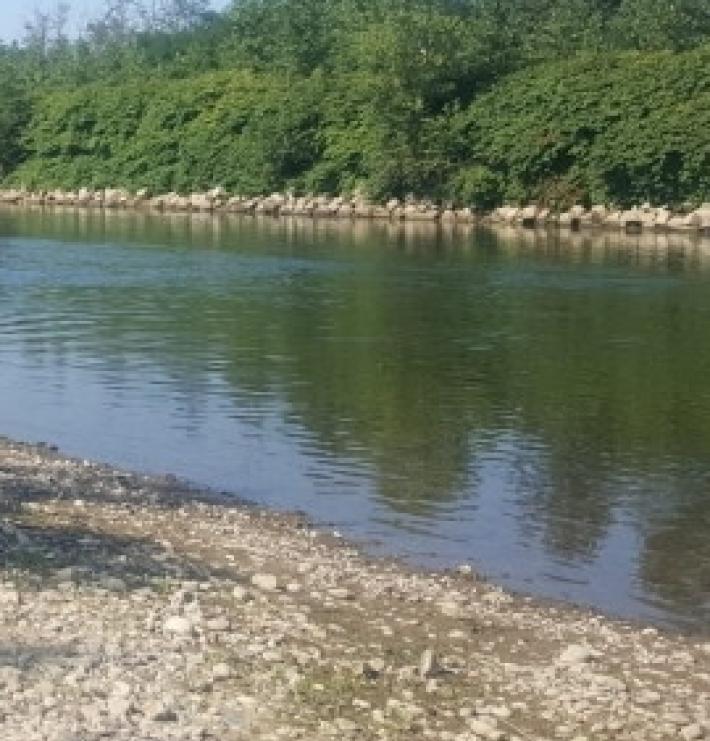 Uomo cade nel fiume Ticino a Pavia, ricerche con un elicottero