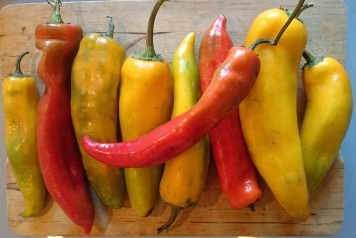 La ricetta green - Cupoletta di orzo ai peperoni