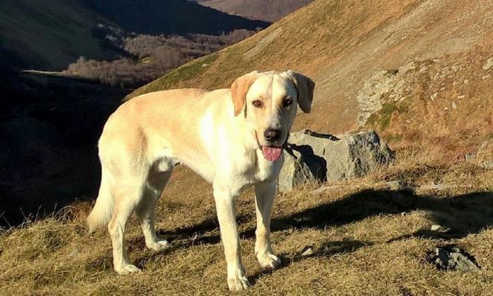 Bob non &egrave; stato ucciso dove l'hanno ritrovato