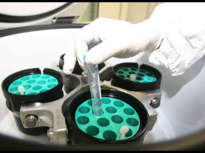 Milano, maxi furto  di farmaci antitumorali