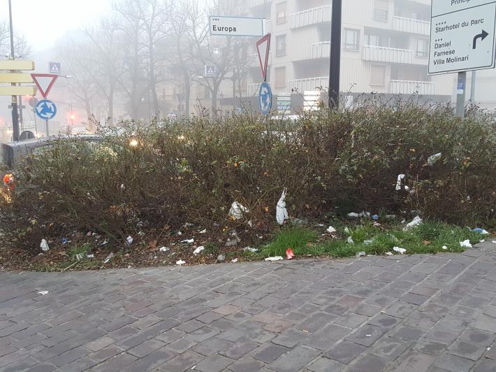 Ponte delle Nazioni: aiuola nel degrado