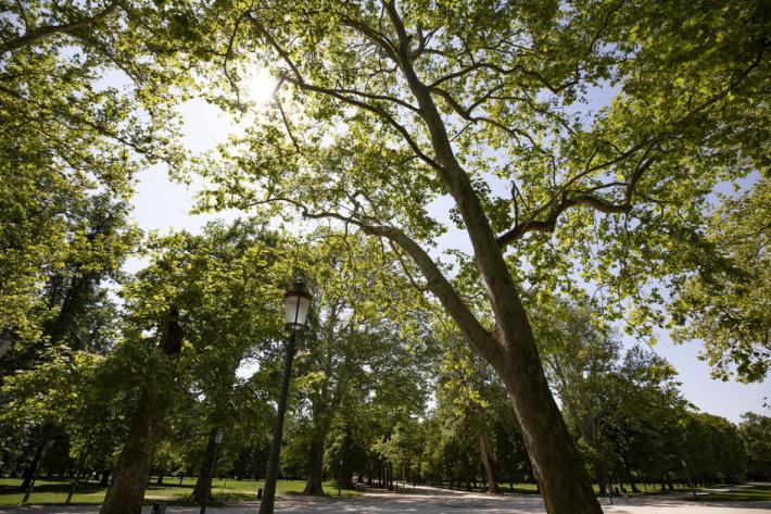 Paura per due ragazzine di 12 e 13 scomparse: erano a casa di un amico