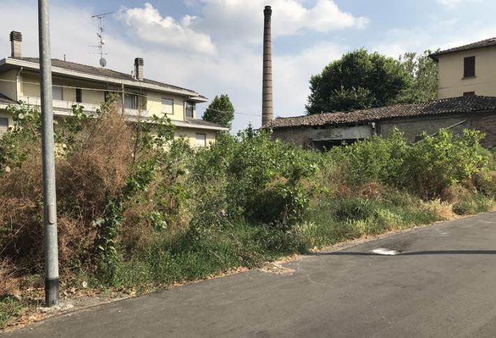 Appello dei residenti al Comune: &laquo;Siamo circondati da bisce e topi&raquo;