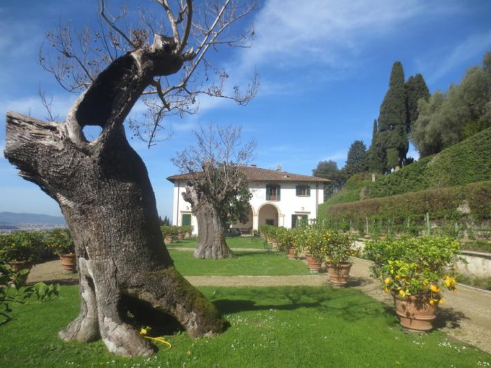 Gazzetta, abbonati alla scoperta  dei giardini dei Medici