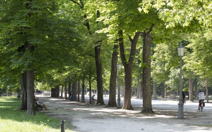 Furto e rapina: arrestato marocchino nel parco Ducale