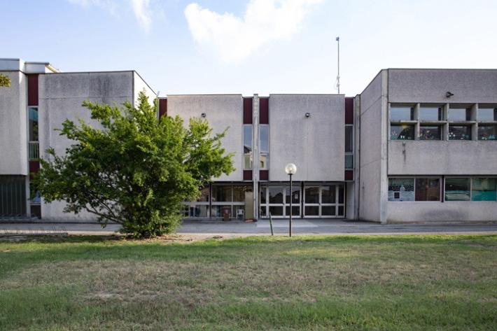 Anna Frank,  Freddi: &laquo;I bus  gratuiti?  Un errore politico&raquo;