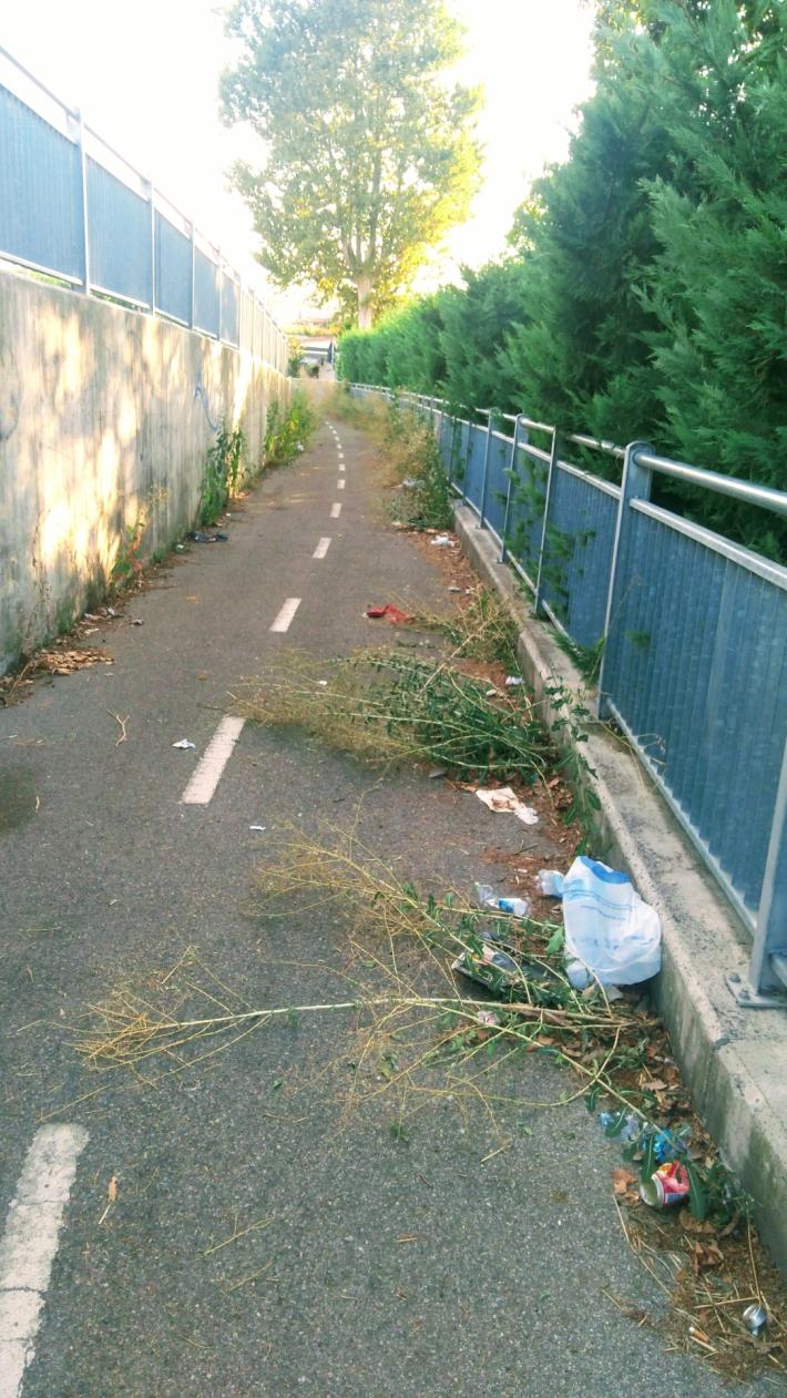 Ciclabile sotto il ponte Europa: incuria e incivilt&agrave;