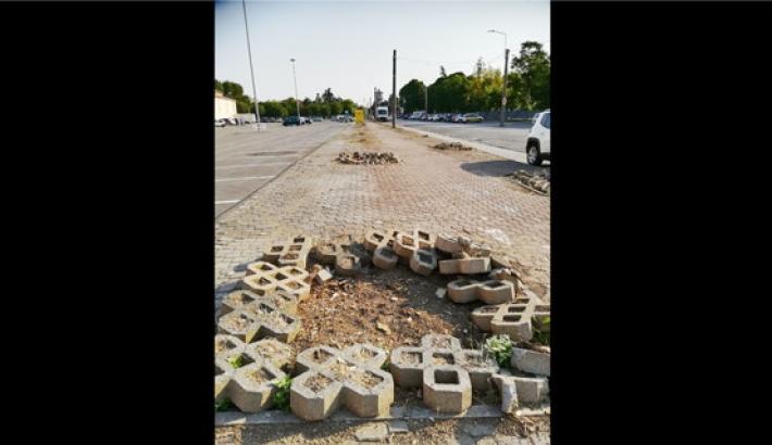 Taglio degli alberi, Pizzarotti: 'Mancavano i parametri minimi di sicurezza'