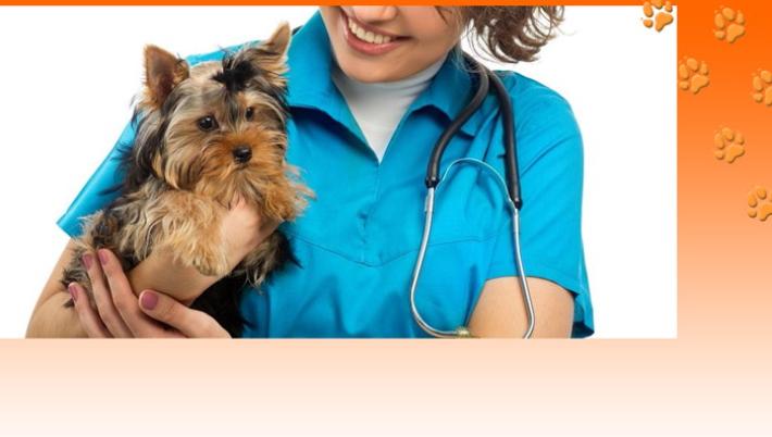 Cagnolino e gatto insieme? Perch&eacute; no