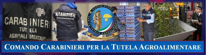 Sequestrati 10 tonnellate di miele con etichette prive delle indicazioni obbligatorie