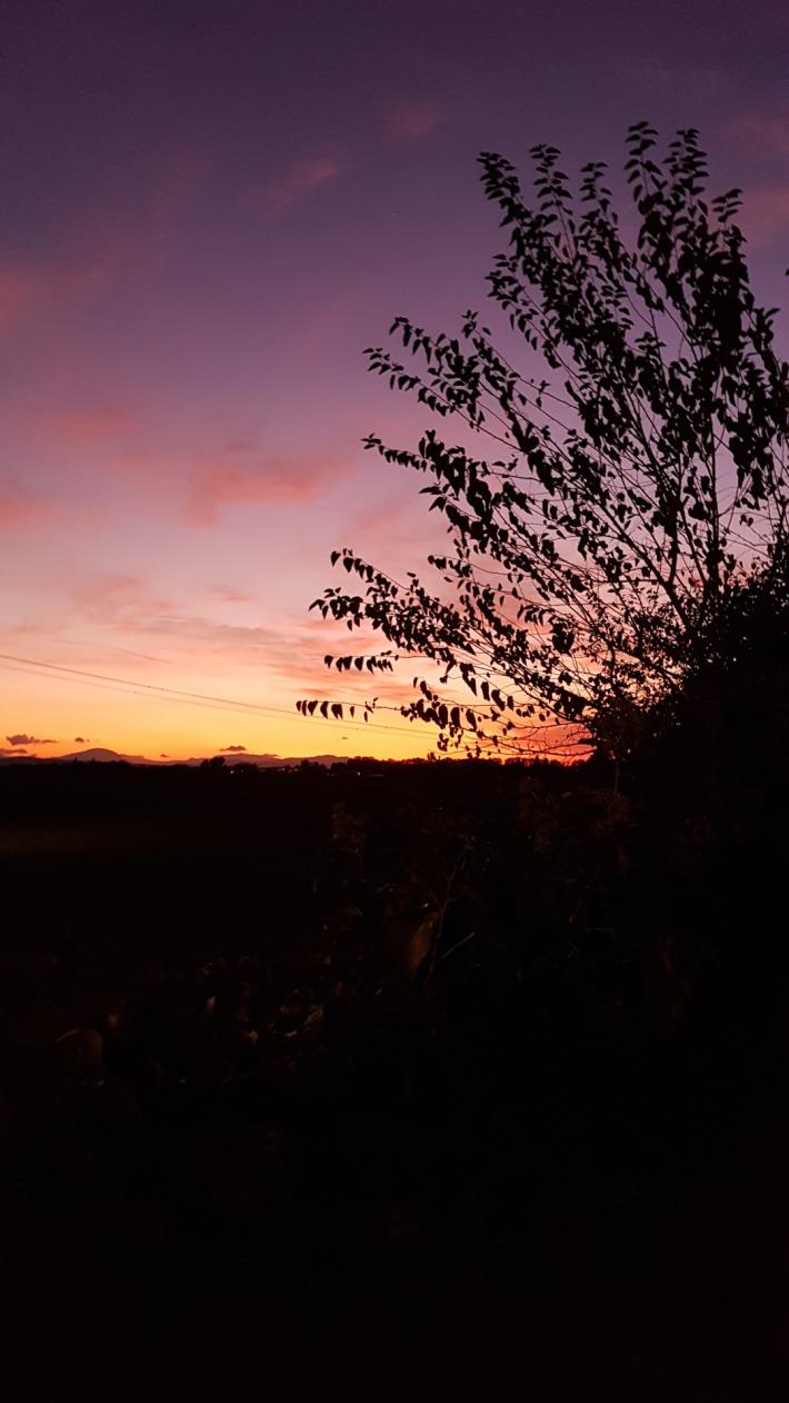 Tramonto ad Alberi