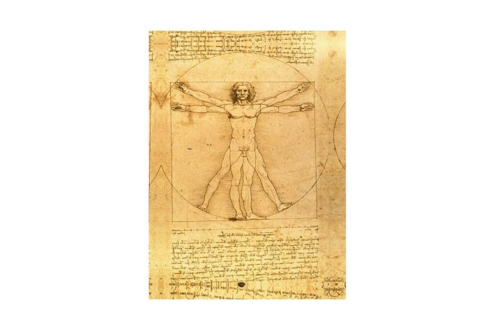 Il caso del prestito dell'Uomo vitruviano