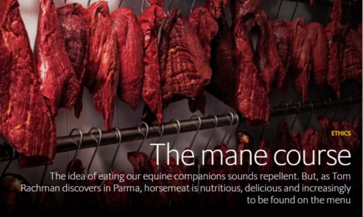 All'Economist piace il cav&agrave;l pisst: &laquo;&Egrave; buono e fa bene&raquo;