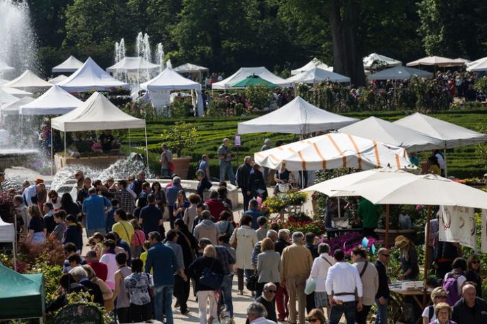 Fiori, ma anche vinile: la top 5 del fine settimana nel Parmense