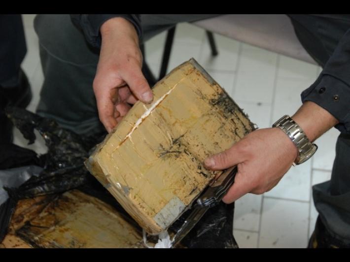  3 arresti e sequestro 50 kg cocaina tra Veneto ed Emilia Romagna