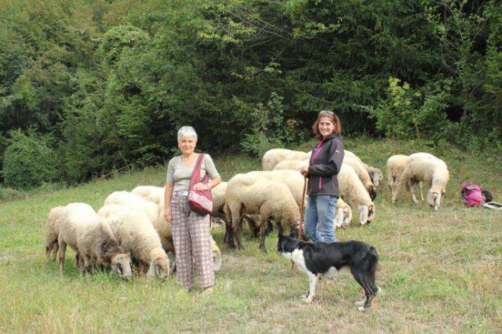 Mamma Rai 'adotta' le pastore d'Italia di Anna Kauber: su Raiuno nel 2020  