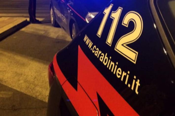 Un embrione in provetta trovato da un passante a Torino