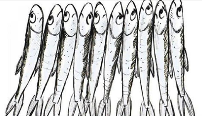 Post choc del prof agli  alunni: se vi becco tra le sardine &egrave;  l'inferno