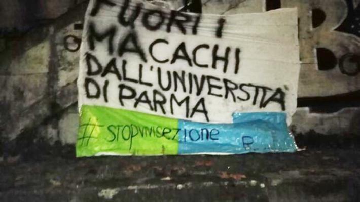 Animalisti sul tetto dell'universit&agrave;: 'Stop agli studi sui macachi'. Research4Life: 'Protesta folle'