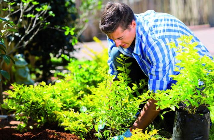 I suggerimenti sempre validi