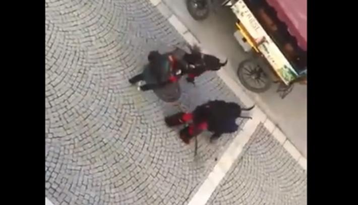 Vipiteno, paura alla sfilata: Krampus aggrediscono gli spettatori  - Video