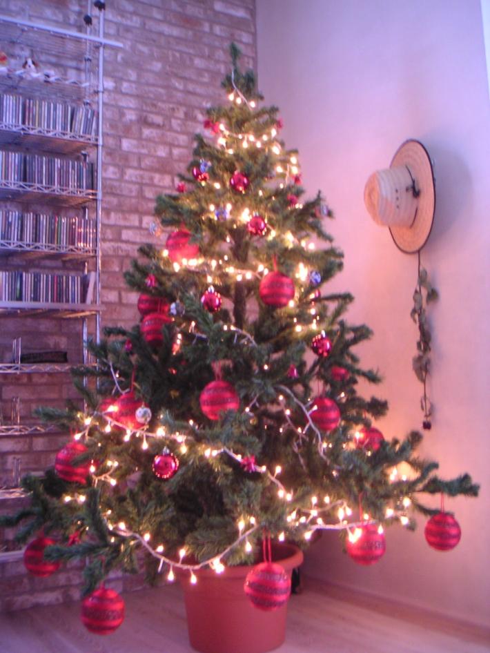 Luci dell'albero di Natale in cortocircuito: anziano muore nell'incendio