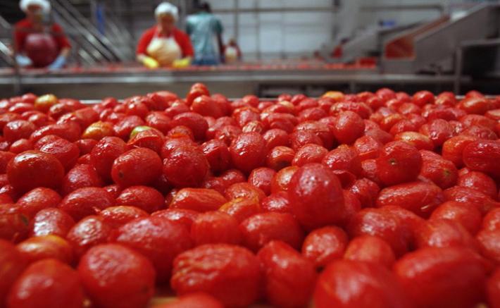 I sindacati: 'Columbus cessa l'attivit&agrave; a Martorano: centinaia di posti a rischio'