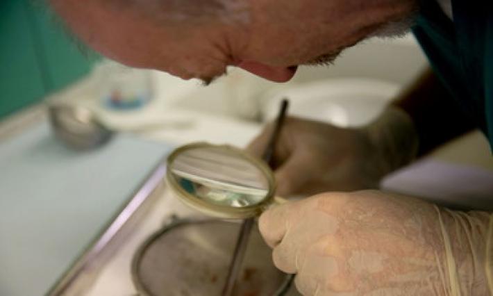 Medicina legale, &laquo;caccia&raquo; ai misteri della morte