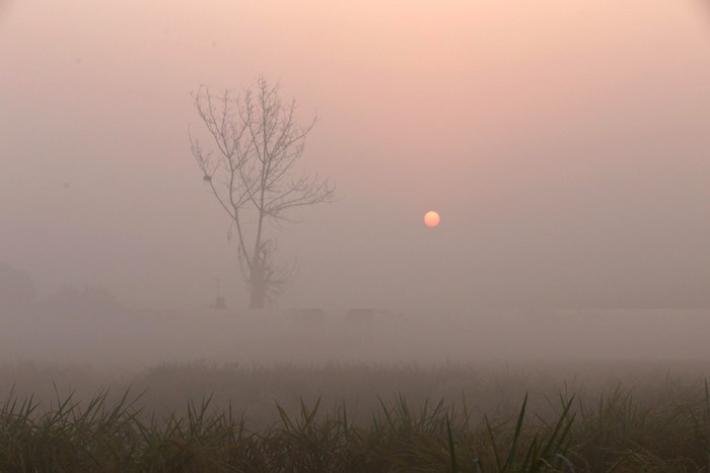 Anticiclone anomalo porta nebbia e concentrazione di smog