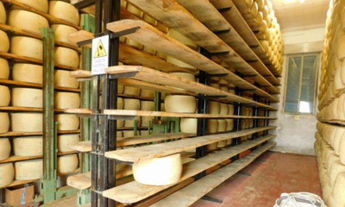 Razzia di formaggio al caseificio di Vezzano