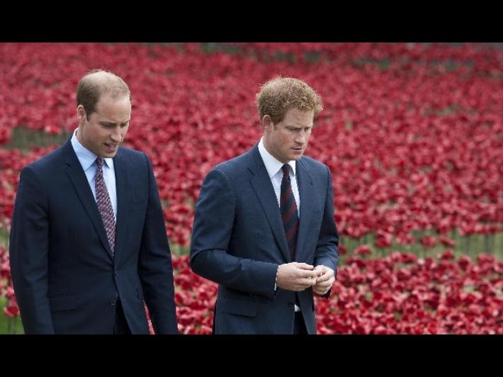 Luned&igrave; il faccia a faccia reale, William 'Non posso pi&ugrave; proteggere Harry'