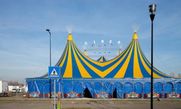 Rissa al circo: tre animalisti feriti