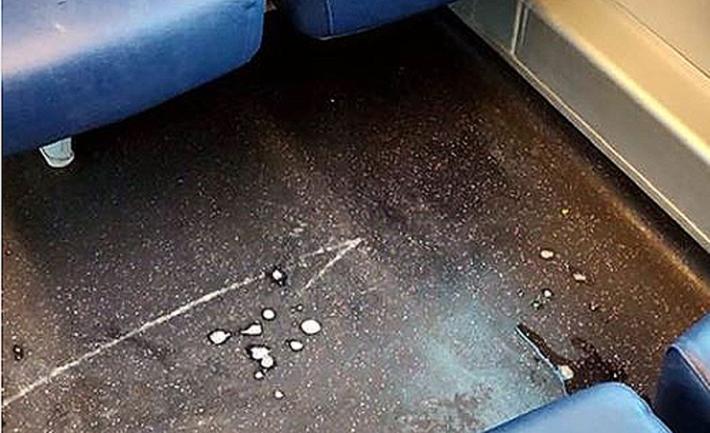 Mestre, studentessa denuncia: insulti e sputi sul treno perch&eacute; cinese