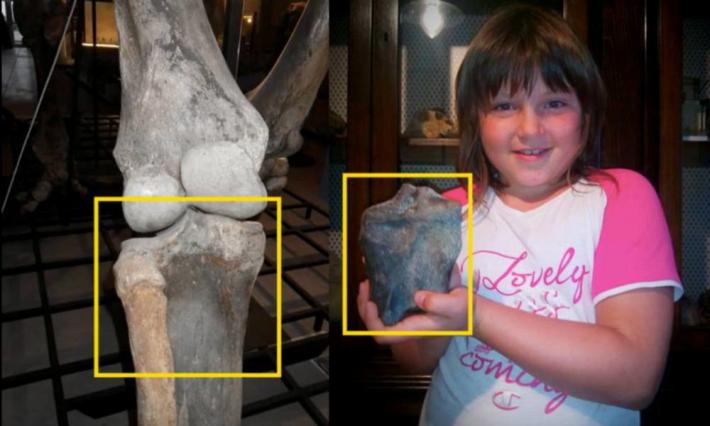 Emma (8 anni) e il mammuth ritrovato