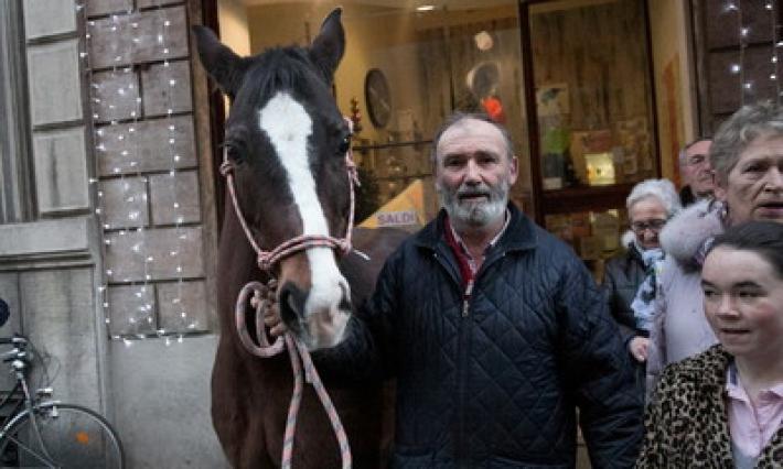 Benedetti animali, amici del Creato