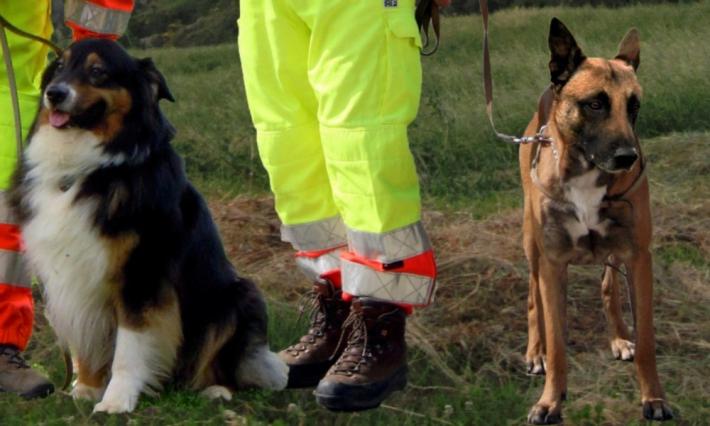 Un'altra parmigiana scomparsa da casa: dopo avere lasciato l'auto a Marore ha fatto perdere le  sue tracce