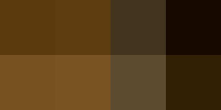 Il perdono dei frati