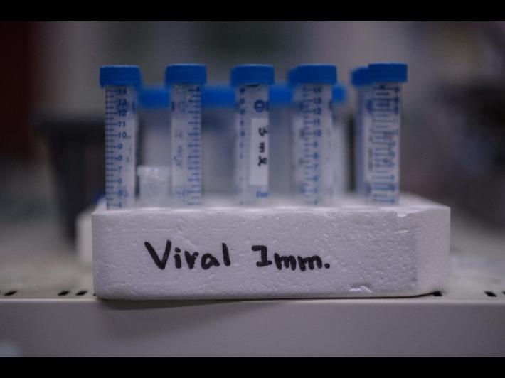 Tre giocatori della Premier trovati positivi