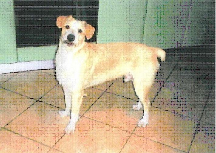 Chi vuole tenere Billy?