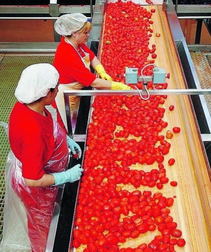Pomodoro, Confagricoltura soddisfatta ma restano i timori per la crisi idrica e il contesto internazionale 