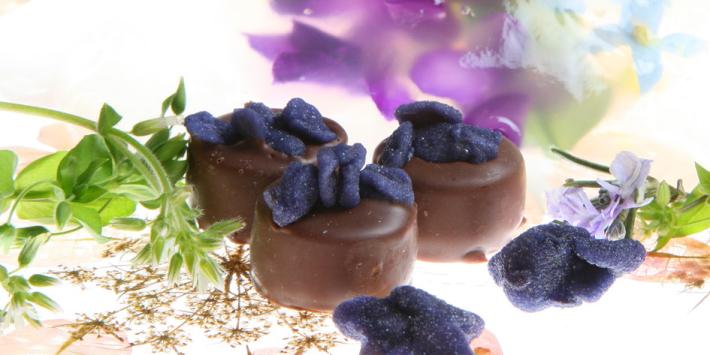 Violetta di Parma Fiore dell'amore