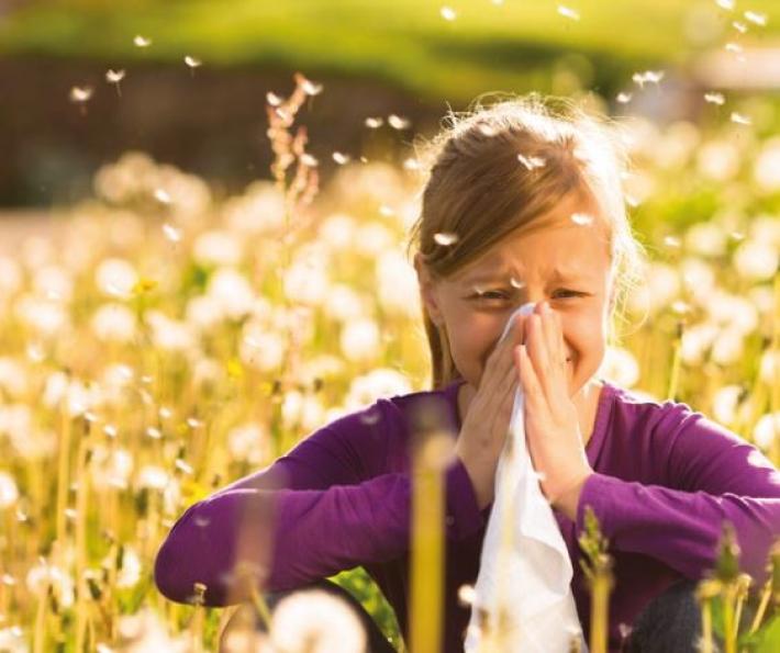 La stagione delle allergie sar&agrave; pi&ugrave; lieve