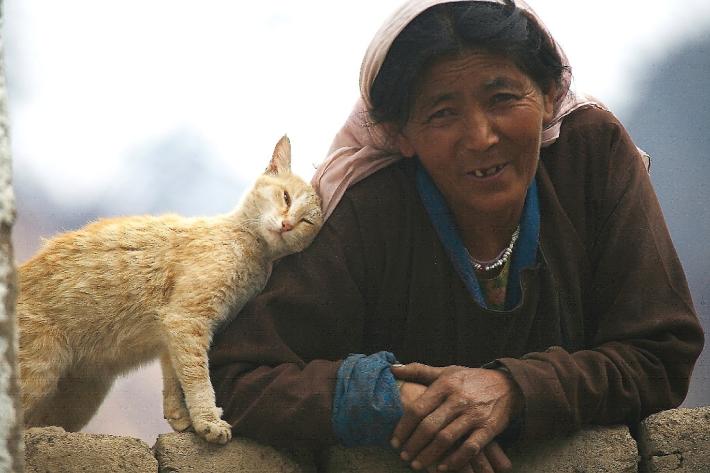 Ladakh, a due passi dal cielo