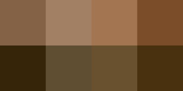 ll popolo del Golese: &laquo;Ascoltateci&raquo;