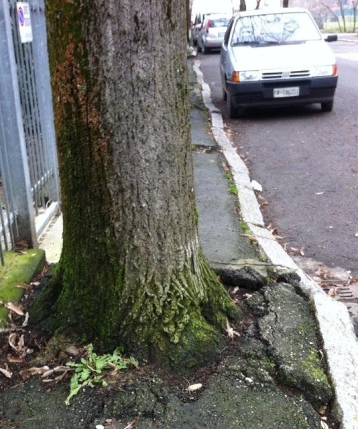 Manutenzioni straordinarie di strade, marciapiedi e  piste ciclabili: ecco il piano dei lavori per il 2020