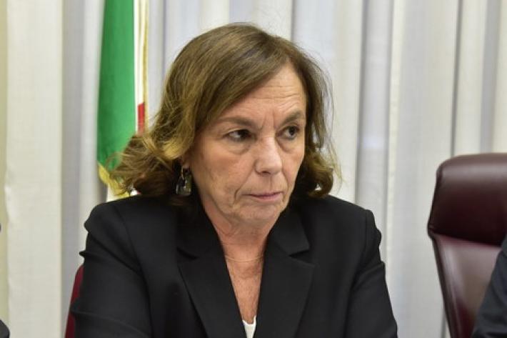 Lamorgese "Le mafie tenteranno di inserirsi nel riavvio del paese"