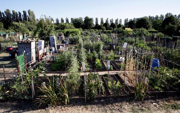 Orti sociali, &laquo;Lasciateci entrare&raquo;