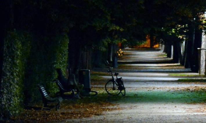 I CC in congedo controlleranno il Parco Ducale