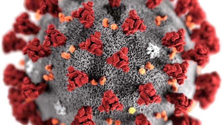 L'aggiornamento in Emilia-Romagna: 1.828 nuovi positivi, aumentano i guariti (+487). Vaccini: oltre 7milioni e 800mila dosi somministrate