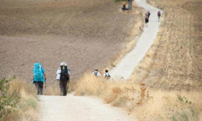Modenese scomparso, la mamma ritira la denuncia: &laquo;Sta facendo il cammino di Santiago, vuole stare solo"
